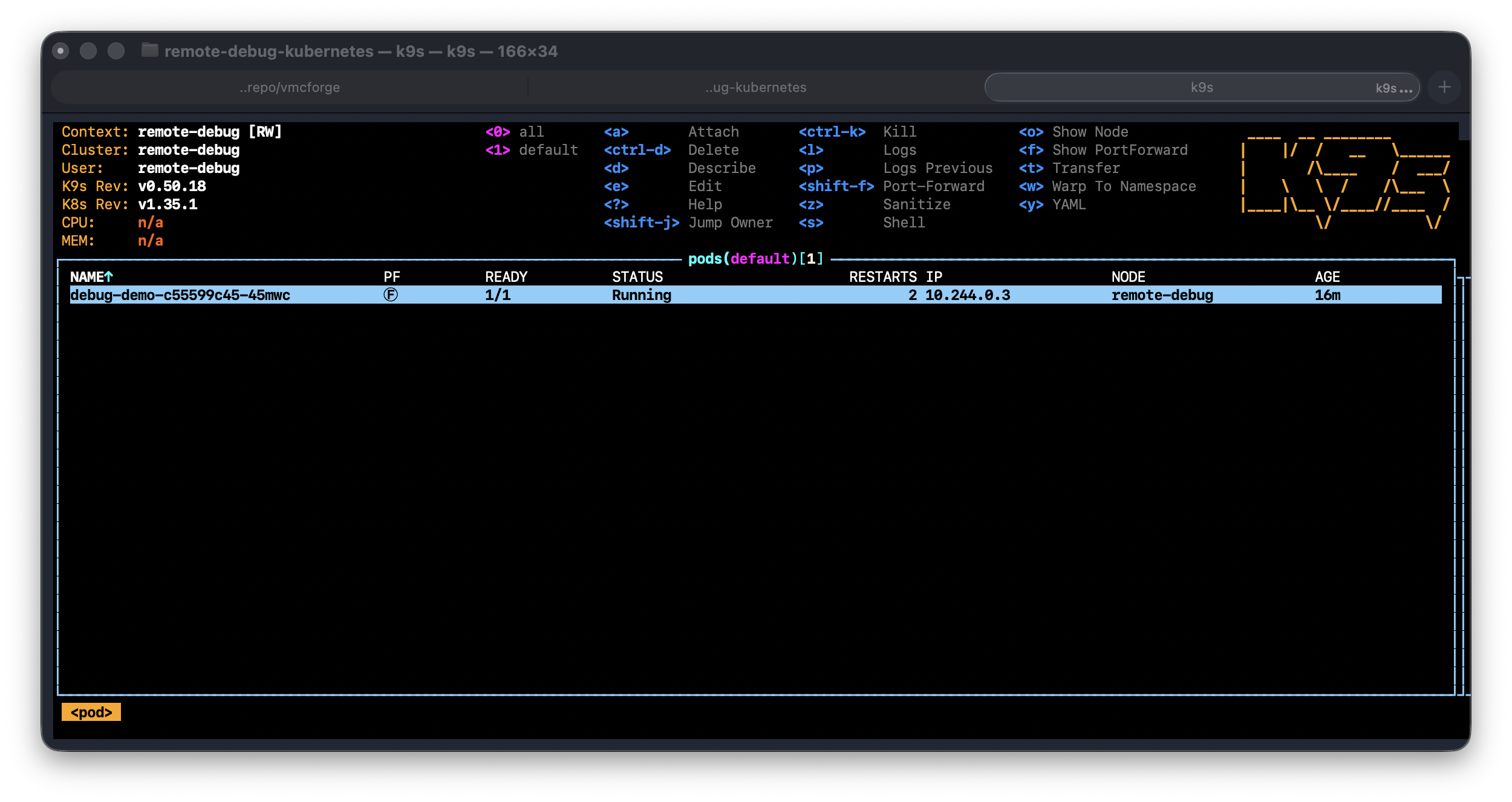 k9s pods view — debug-demo pod Running, 1/1 ready