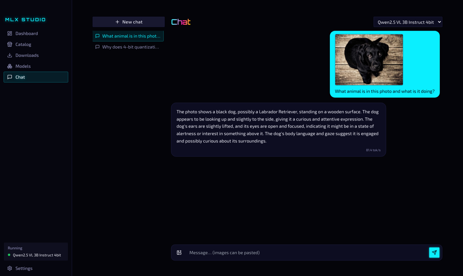 Chat with an attached photo of a black dog and the model's streamed description